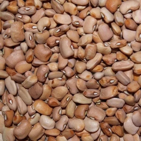 Kovafood Honey Beans/ Ewa Oloyin