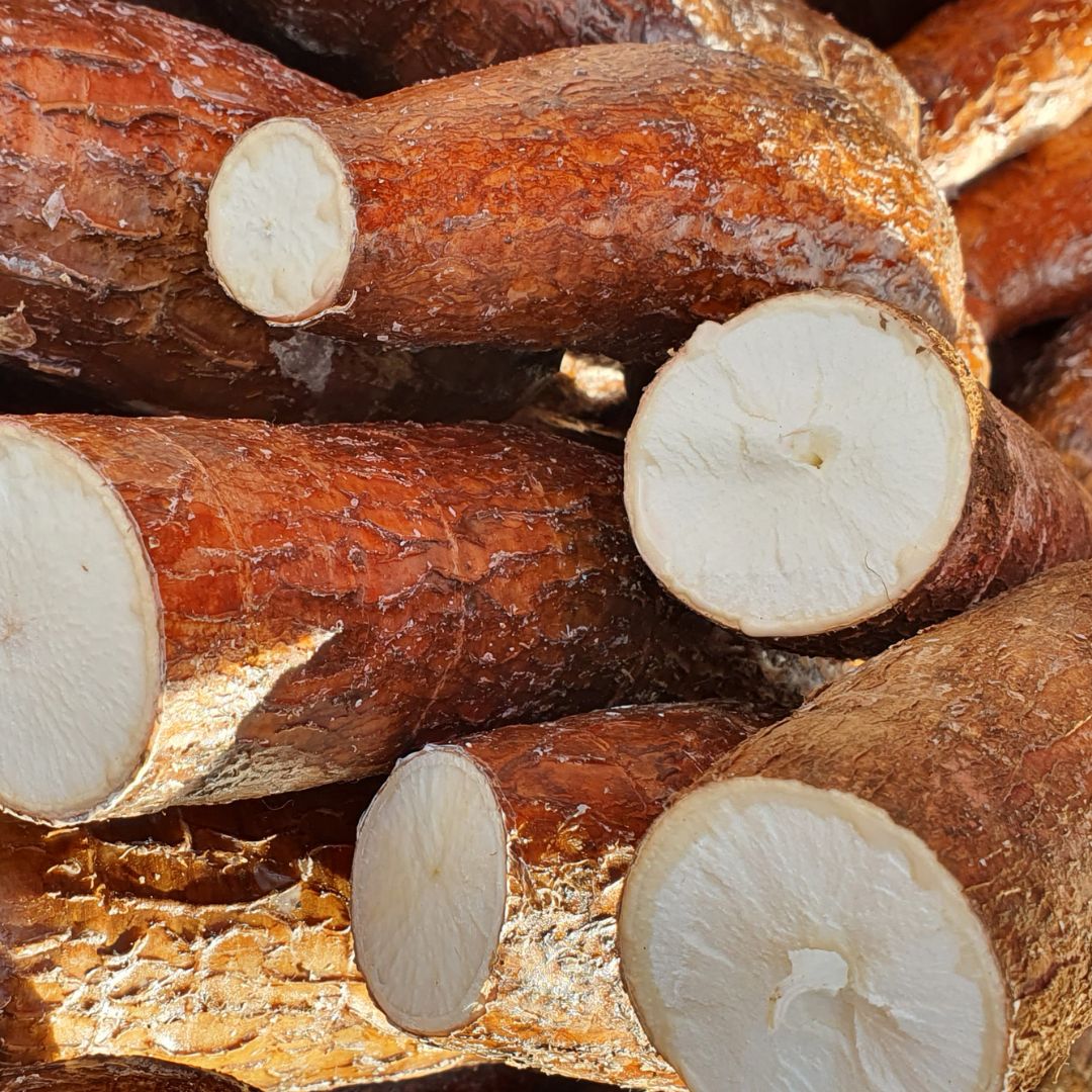 Banana Yucca Roots Yucca Roots/ Cassava, 1 ct. – Kovafood