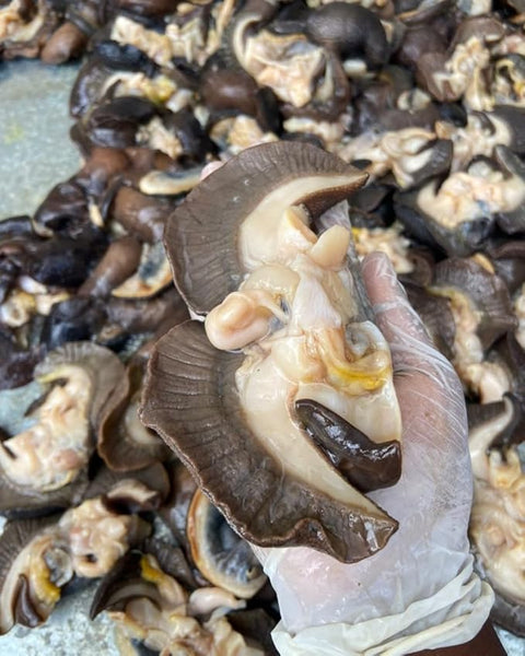 Frozen Jumbo Snails, Per Lb