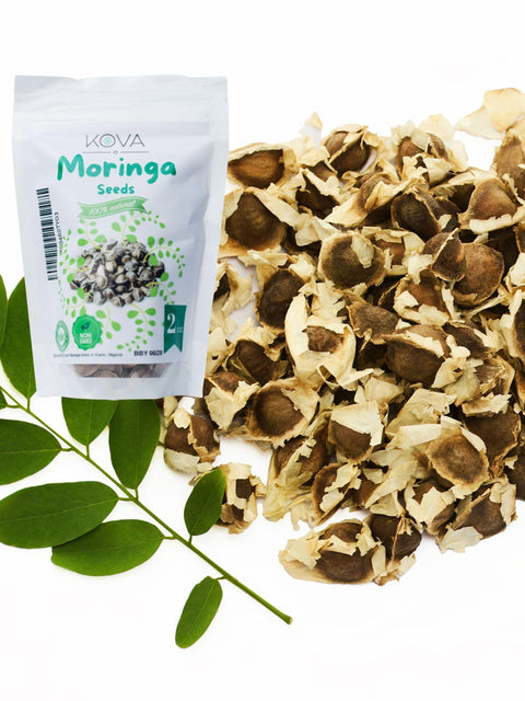 Kovafood Moringa Seeds for Planting and Snacking. 8oz Aprrox. 1000 Seeds. I Edible I Planting I Moringa Oleifera