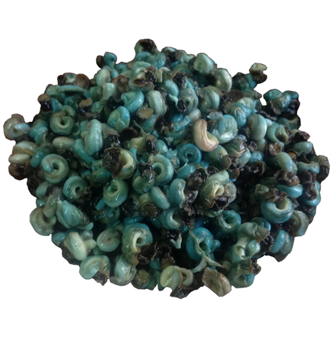 Frozen Periwinkle (Nsam), 200g