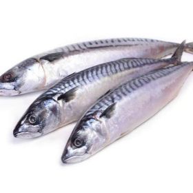 Fresh Titus Fish Fresh/ Mackerel (Frozen), 3 ct.