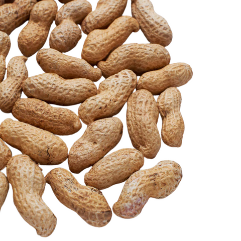 Groundnut Peanuts Fresh/Raw, 64 Oz