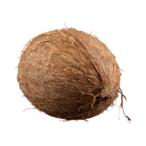 Coconut, 1 ct.