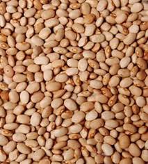 African Brown Beans (Bulk), 20 lbs