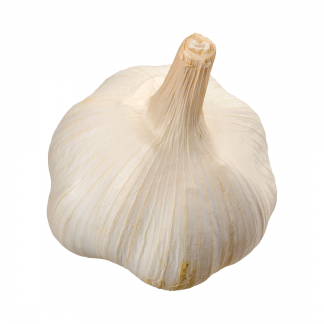 Garlic, 1 count